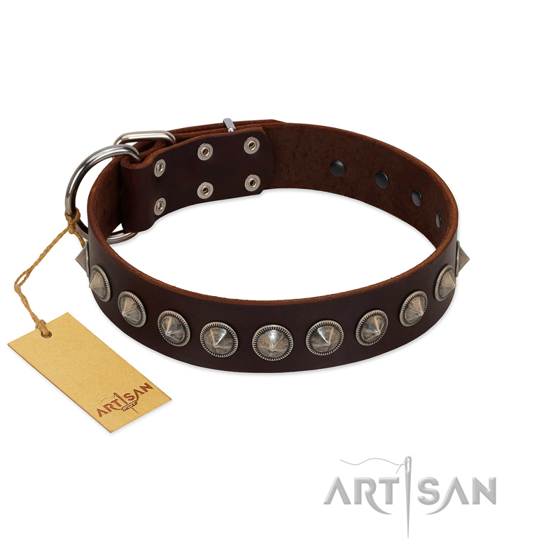 "Gothic Style" FDT Artisan Fancy Brown Leather English Bull Terrier Collar with Silver-Like Decorations - Click Image to Close