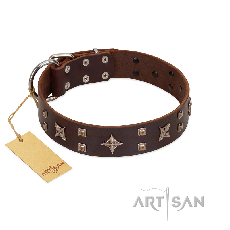 "Stars in Sands" Modern FDT Artisan Brown Leather English Bull Terrier Collar with Studs and Stars