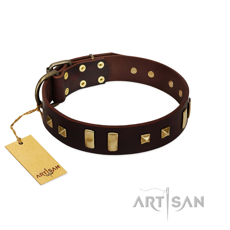 "Choco Delight" FDT Artisan Brown Leather English Bull Terrier Collar with Old Bronze-like Plates and Studs