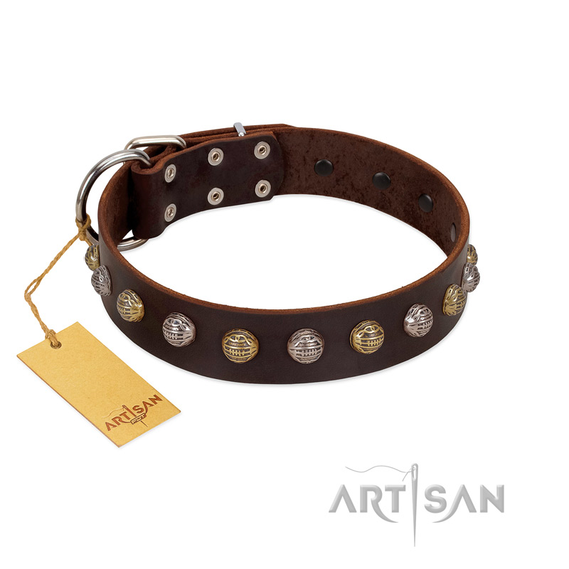 "Gape Buster" FDT Artisan Brown Leather English Bull Terrier Collar with One Row of Studs