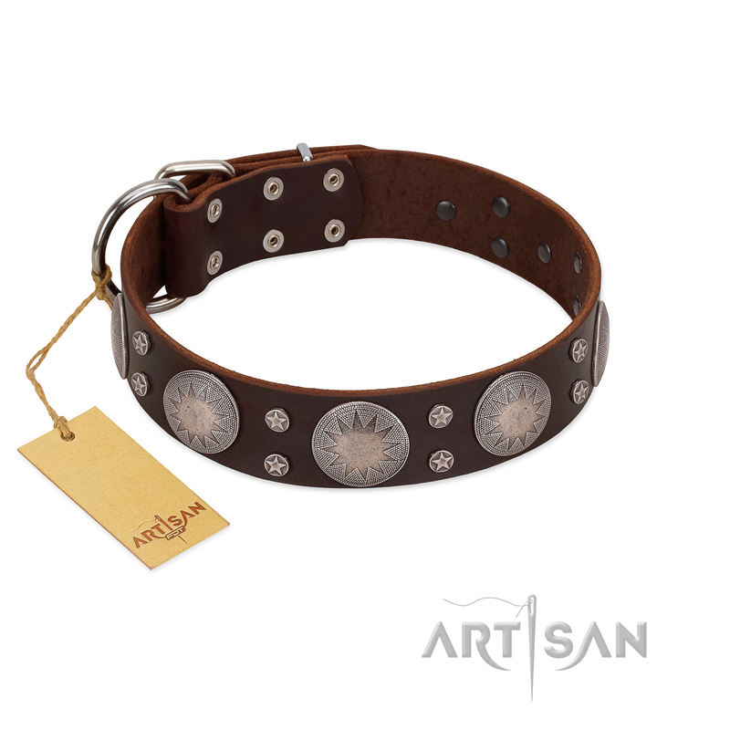 "Imperial Legate" FDT Artisan Brown Leather English Bull Terrier Collar with Big Round Plates