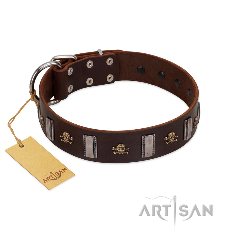 "War Chief" FDT Artisan Genuine Brown Leather English Bull Terrier Collar with Skulls and Plates