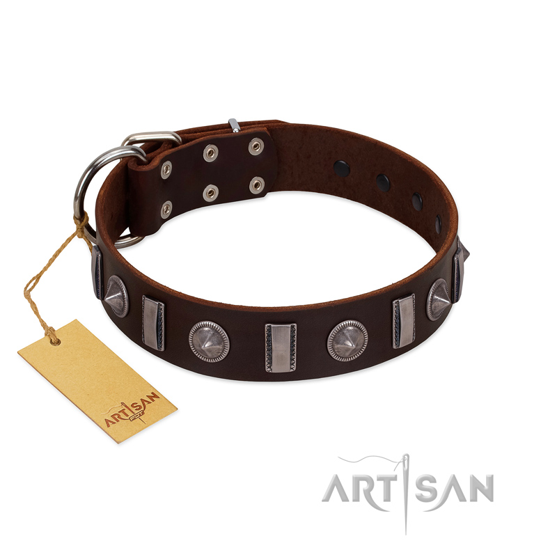 "Spiky Way" FDT Artisan Brown Leather English Bull Terrier Collar with Silver-Like Decorations