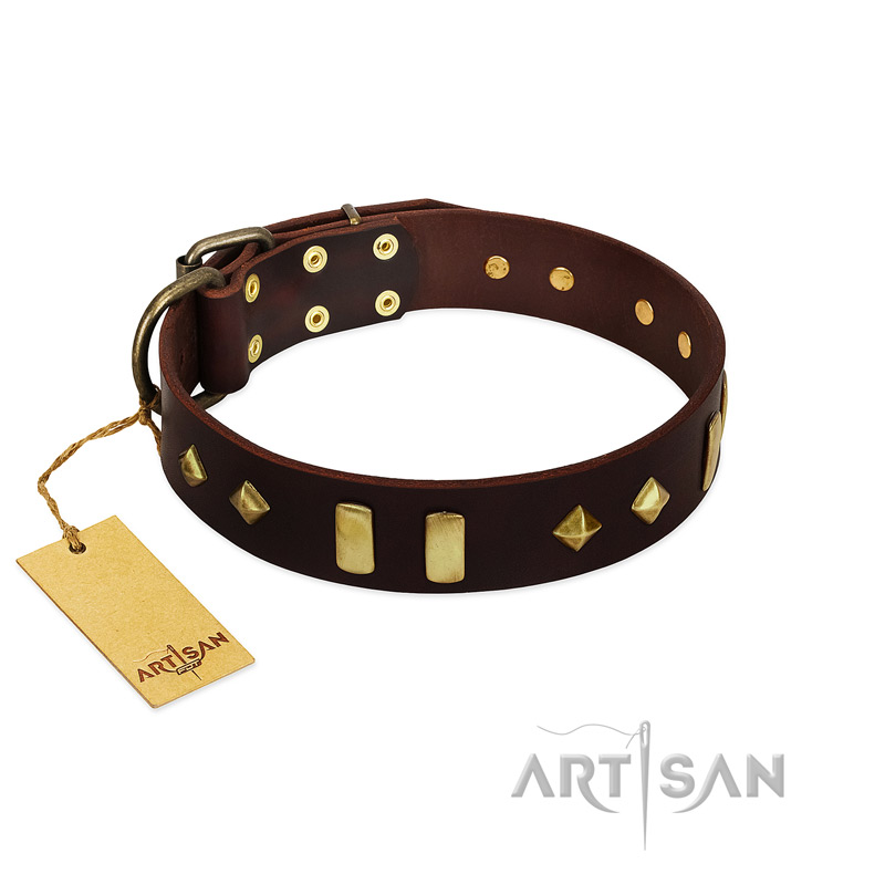 "Blinking Illusion" FDT Artisan Brown Leather English Bull Terrier Collar with Old Bronze-like Studs and Plates