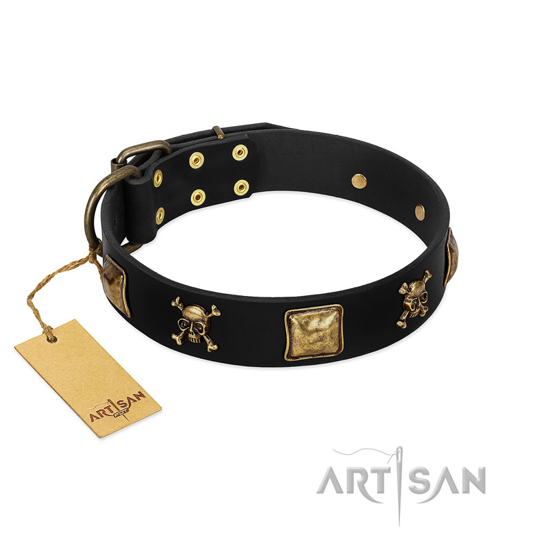 "Welcome on Board" FDT Artisan Black Leather English Bull Terrier Collar with Skulls and Crossbones Combined with Squares - Click Image to Close