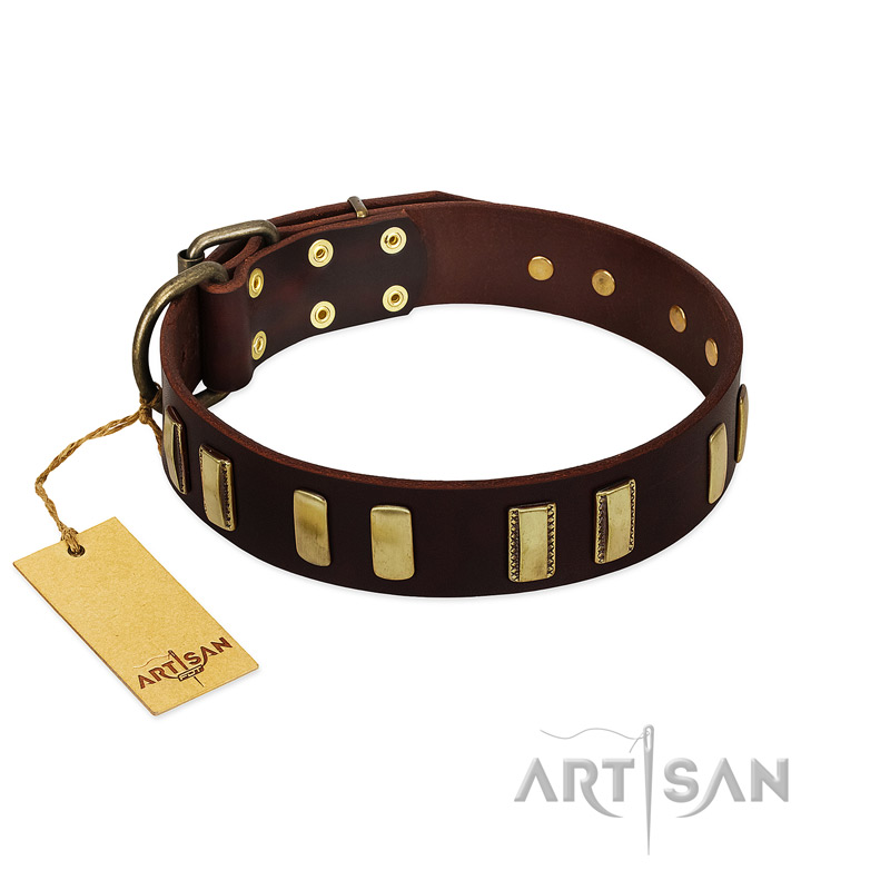 "Peace and Harmony" FDT Artisan Brown Leather English Bull Terrier Collar with Plates