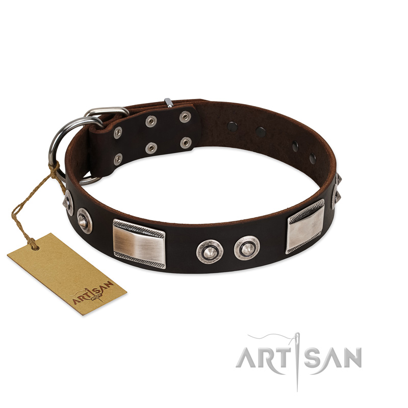 "Baller Status" FDT Artisan Brown Leather English Bull Terrier Collar Adorned with a Set of Chrome Plated Studs and Plates - Click Image to Close