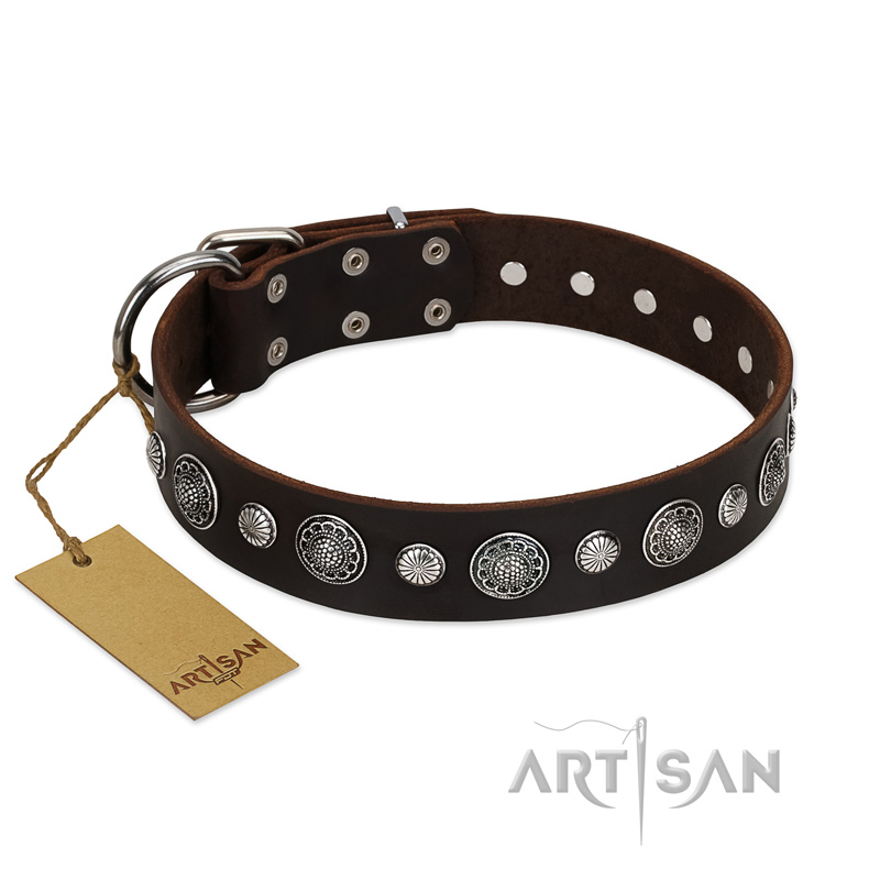 "Victory Ode" FDT Artisan Brown Leather English Bull Terrier Collar with Silver-like Plated Decorations - Click Image to Close