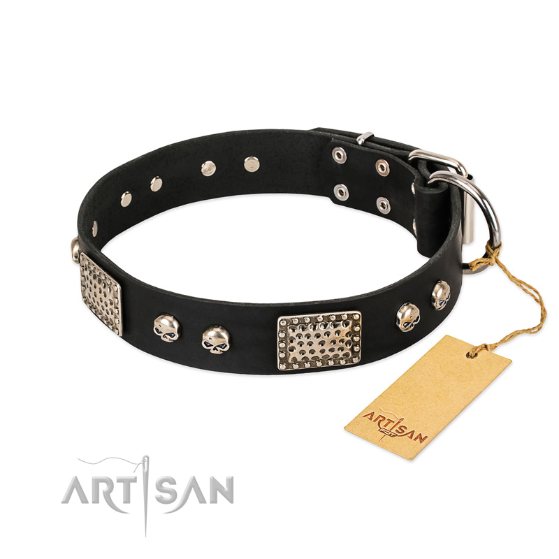 "Pirates Gold" FDT Artisan Black Leather English Bull Terrier Collar with Old Silver Look Plates and Skulls