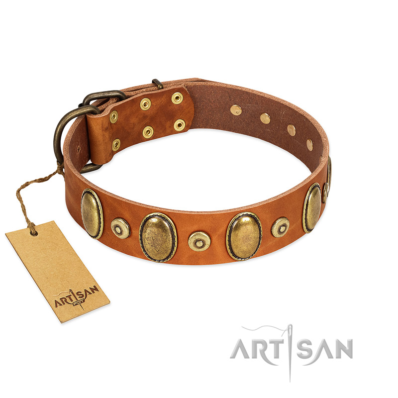 "Crystal Sand" FDT Artisan Tan Leather English Bull Terrier Collar with Vintage Looking Oval and Round Studs