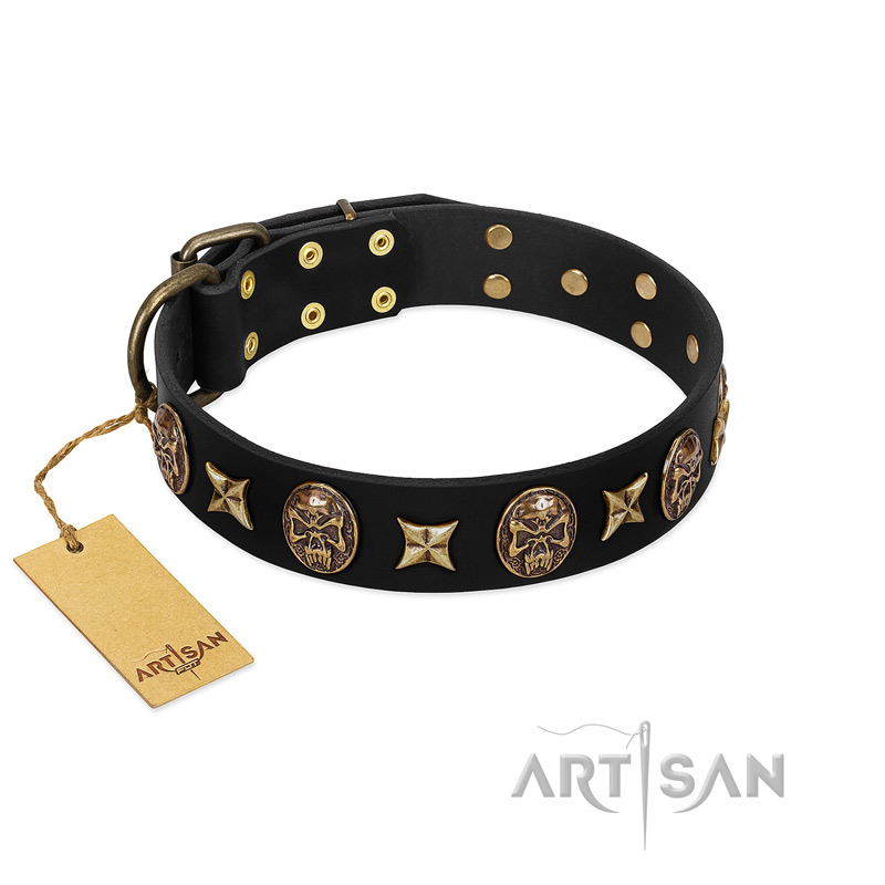 "Starry Saga" FDT Artisan Black Leather English Bull Terrier Collar with Stars and Skulls