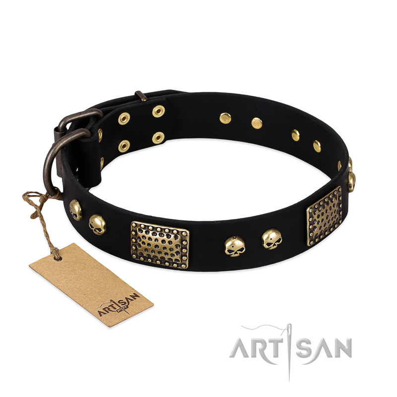 "Biker Style" FDT Artisan Black Leather English Bull Terrier Collar with Old Bronze Look Plates and Skulls