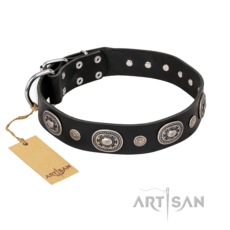 "Black Tie" FDT Artisan Leather English Bull Terrier Collar with Old Silver-like Decorations