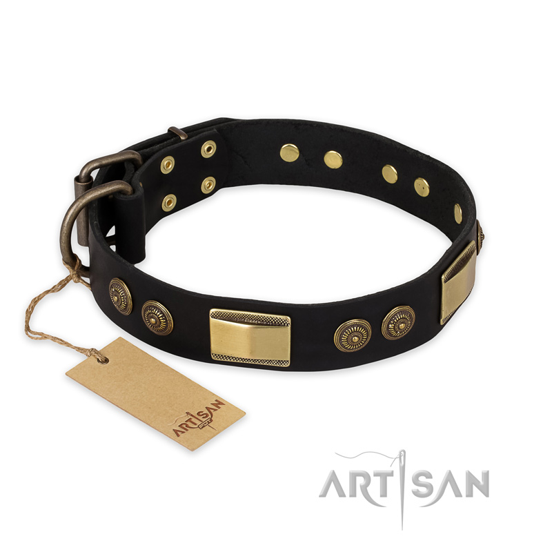 "Ancient Egypt" FDT Artisan Leather English Bull Terrier Collar with Old Bronze Look Decorations