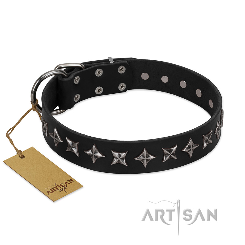 "Lights-out" FDT Artisan Black Leather English Bull Terrier Collar with Silver-like Set of Stars