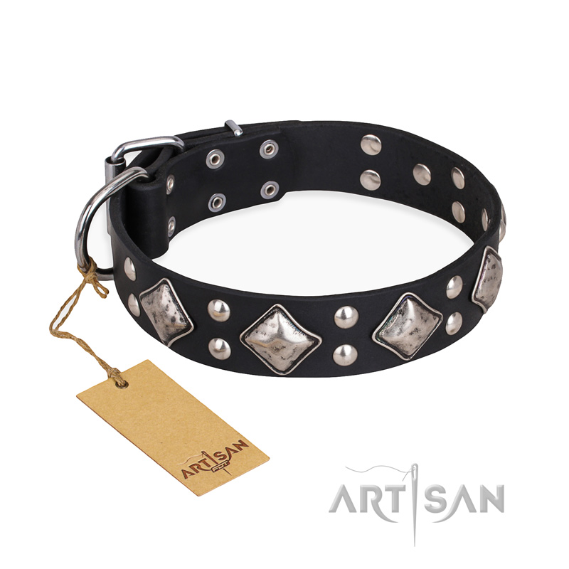 "Smart Geometry" FDT Artisan Studded Leather English Bull Terrier Collar