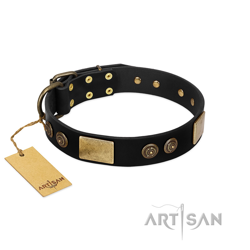 "Chicci-Glam" FDT Artisan Black Leather English Bull Terrier Collar with Plates and Ornate Studs