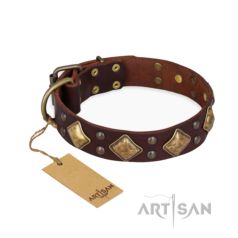 "Golden Square" FDT Artisan Brown Leather English Bull Terrier Collar with Large Squares