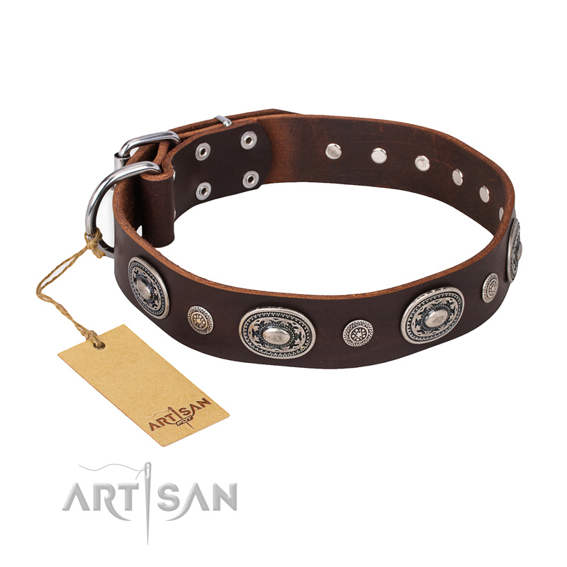 "Extra Pizzazz" FDT Artisan Adorned Brown Leather English Bull Terrier Collar