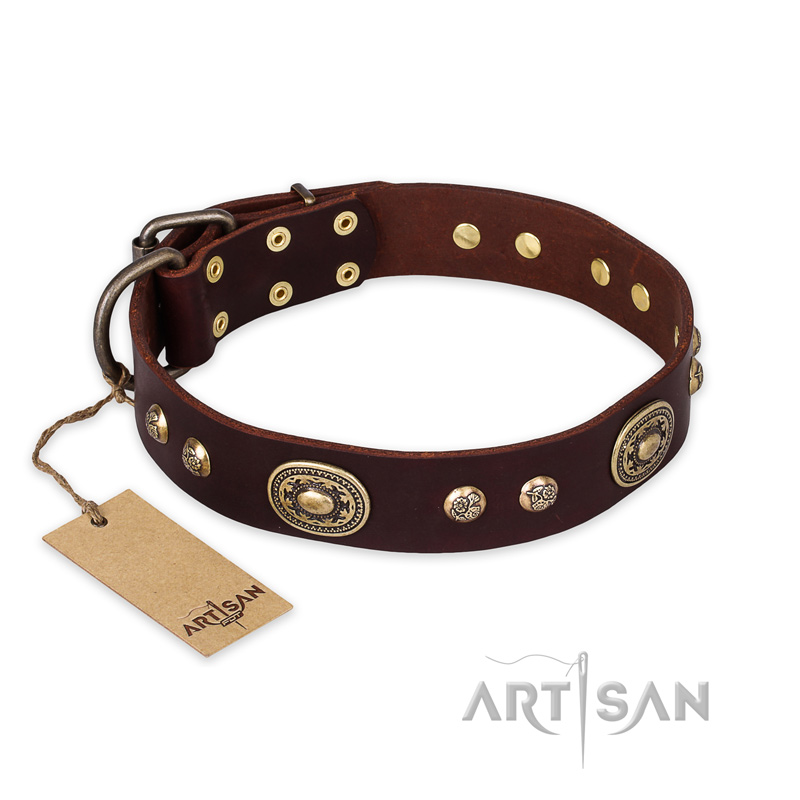 "Breath of Elegance" FDT Artisan Decorated with Plates Brown Leather English Bull Terrier Collar
