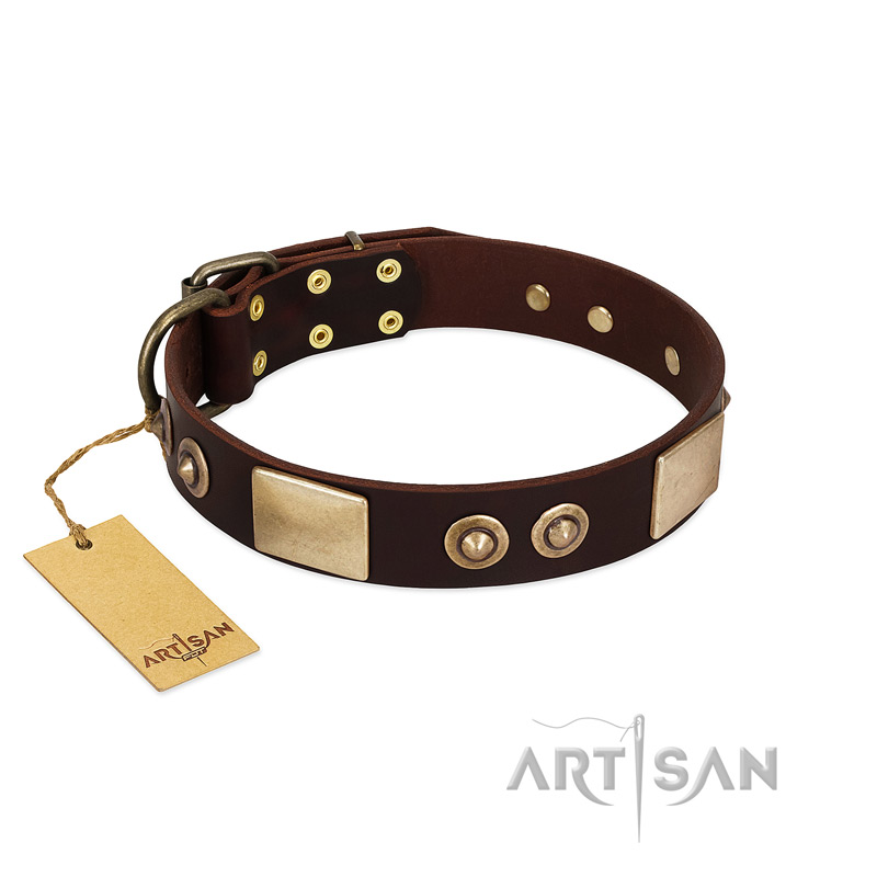 "Sense of Freedom" FDT Artisan Brown Leather English Bull Terrier Collar with Old Bronze-Plated Studs and Plates - Click Image to Close