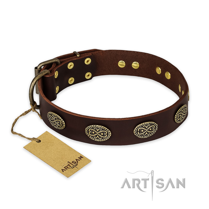 "Chocolate kiss" FDT Artisan Leather English Bull Terrier Collar with Old Bronze Look Oval Plates