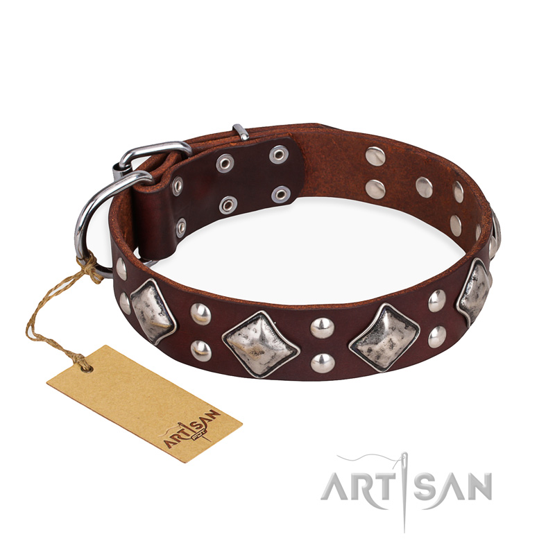 "King of Grace" FDT Artisan Stylish Leather English Bull Terrier Collar with Old Silver-Like Plated Decorations