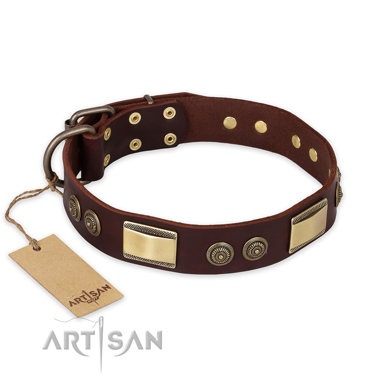 "Golden Stones" FDT Artisan Brown Leather English Bull Terrier Collar with Old Bronze Look Plates and Circles - Click Image to Close