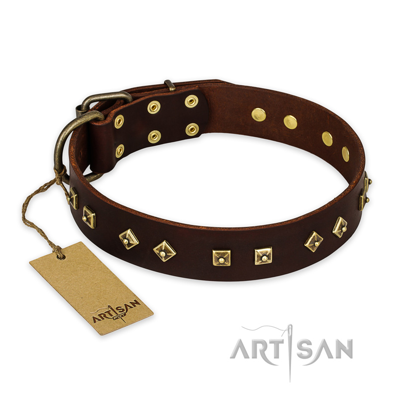 "Fashion Studs" FDT Artisan Decorated Leather English Bull Terrier Collar with Old Bronze-Plated Steel Hardware