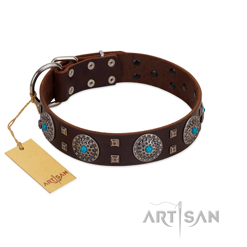 "Hypnotic Stones" FDT Artisan Brown Leather English Bull Terrier Collar with Chrome Plated Brooches and Square Studs