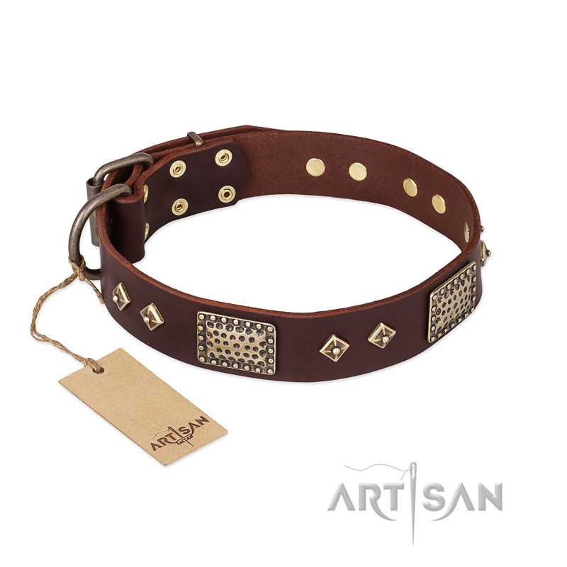 "Loving Owner" FDT Artisan Decorated Leather English Bull Terrier Collar with Plates and Studs - Click Image to Close