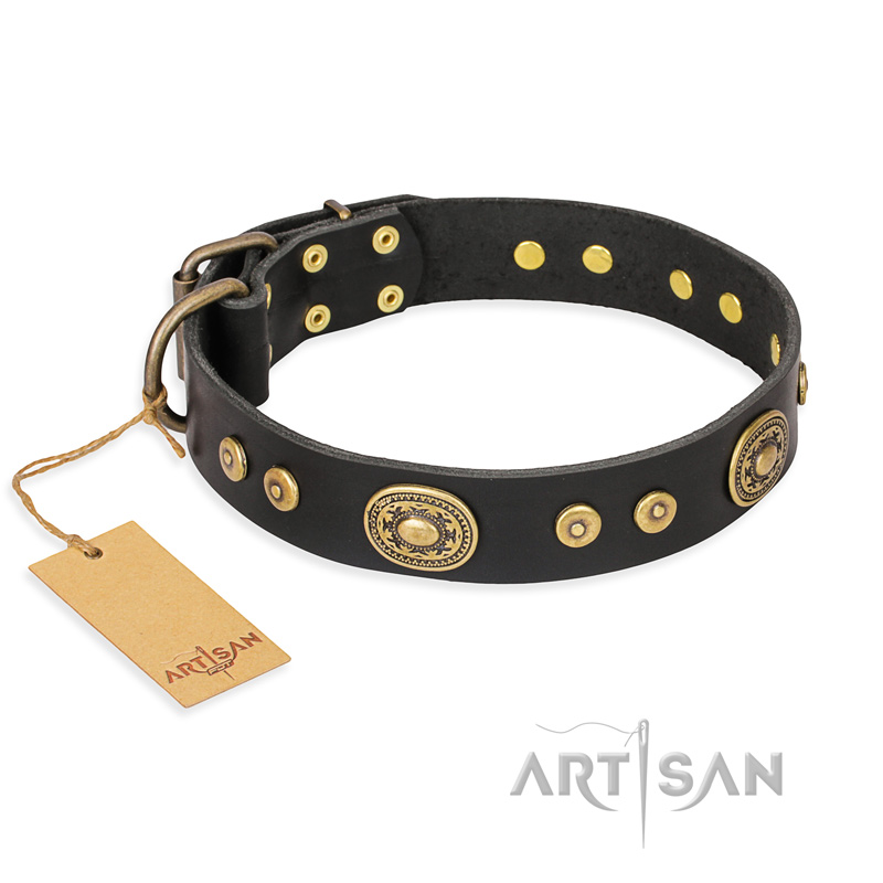 "Golden Radiance" FDT Artisan Black Leather English Bull Terrier Collar with Old Bronze Look Ovals and Circles