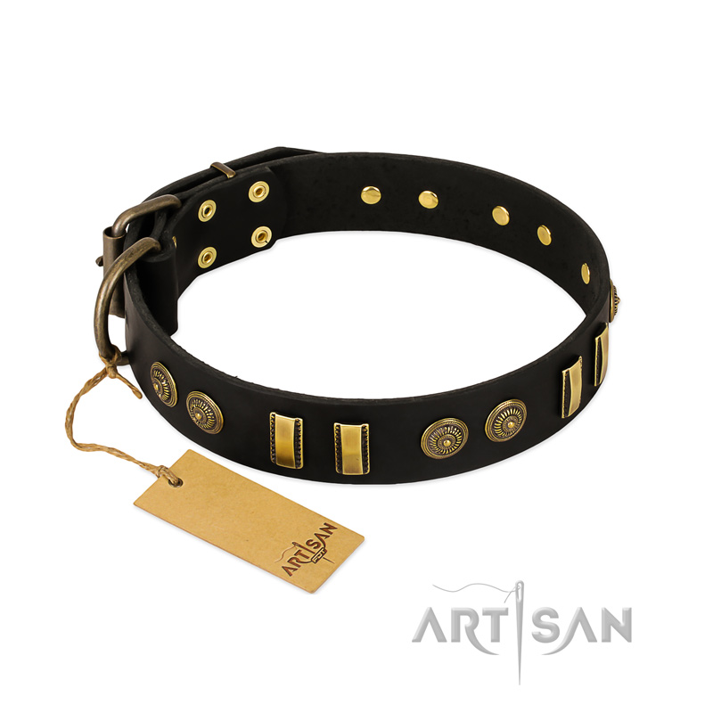 "Simple Elegance" FDT Artisan Black Leather English Bull Terrier Collar with Old Bronze-like Plates and Circles