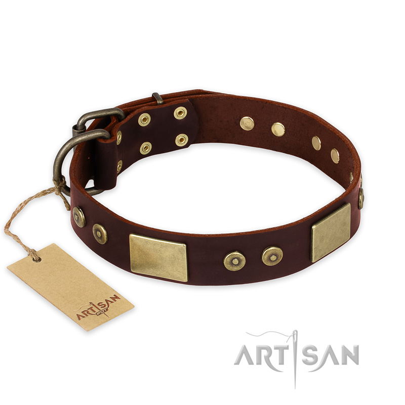 "Shining Armour" FDT Artisan Brown Leather English Bull Terrier Collar with Decorations
