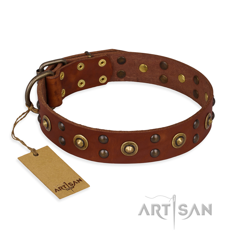 "Unfailing Charm" FDT Artisan Studded Tan Leather English Bull Terrier Collar