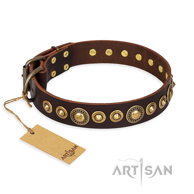 "Ancient Warrior" FDT Artisan Fancy Leather English Bull Terrier Collar with Old-Bronze Plated Decorations