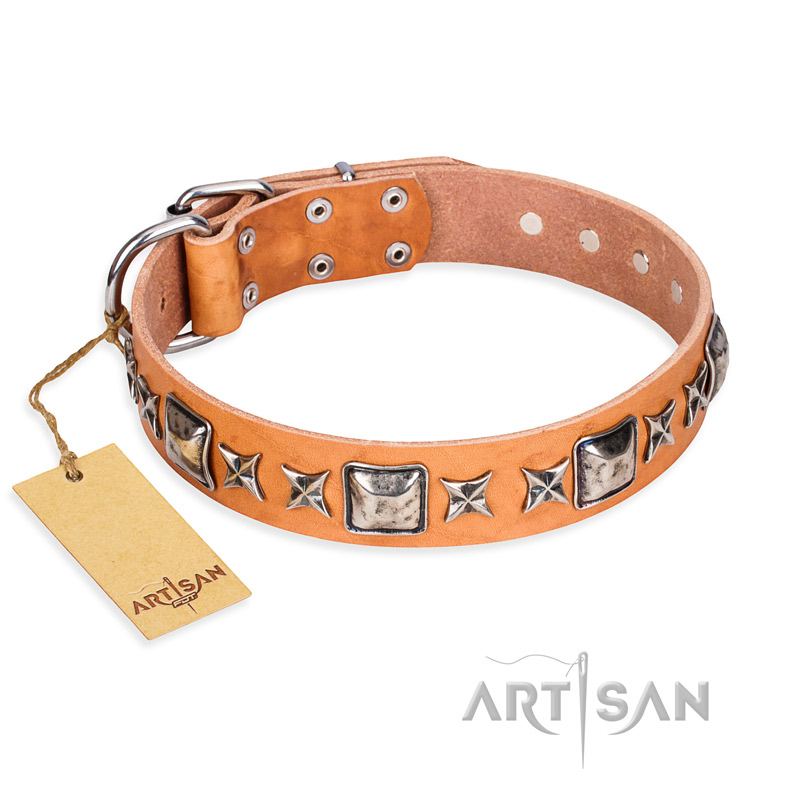 "Glamour Finery" FDT Artisan Female English Bull Terrier collar of natural leather with stylish old-looking circles