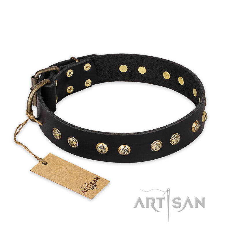 "Black Elegance" FDT Artisan Leather English Bull Terrier Collar with Round Studs