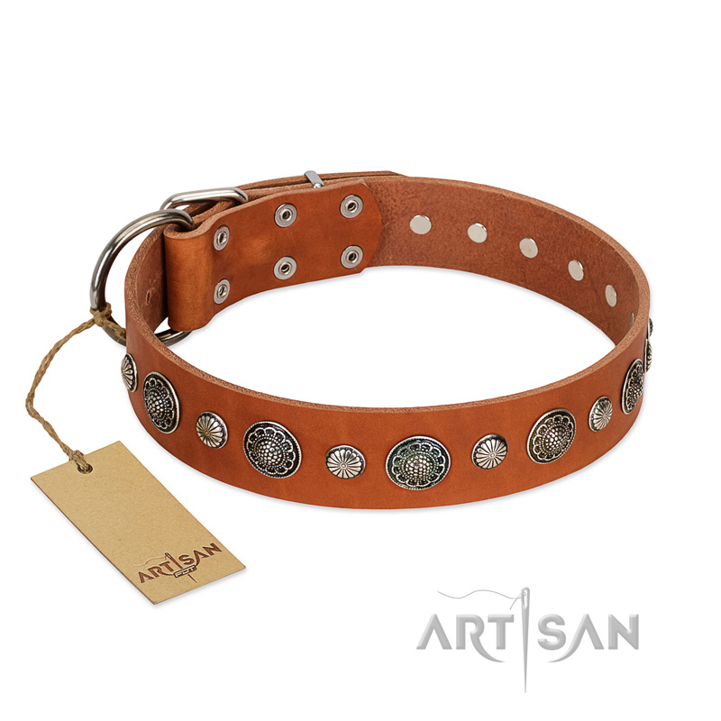 "Natural Beauty" FDT Artisan Tan Leather English Bull Terrier Collar with Shining Silver-like Studs