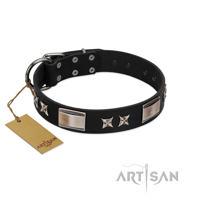 "Pitch Dark" FDT Artisan Black Leather English Bull Terrier Collar with Stars and Plates