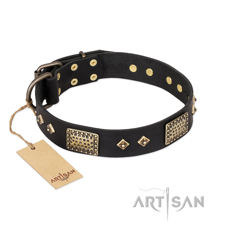 "Jewel Passion" FDT Artisan Fashionable Black Leather English Bull Terrier Collar