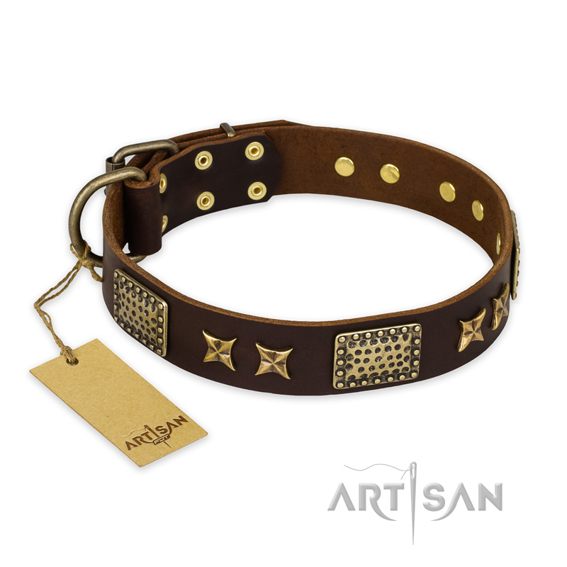 "Sparkling Bronze" FDT Artisan Genuine Leather English Bull Terrier Collar with Bronze Look Stars and Plates - Click Image to Close