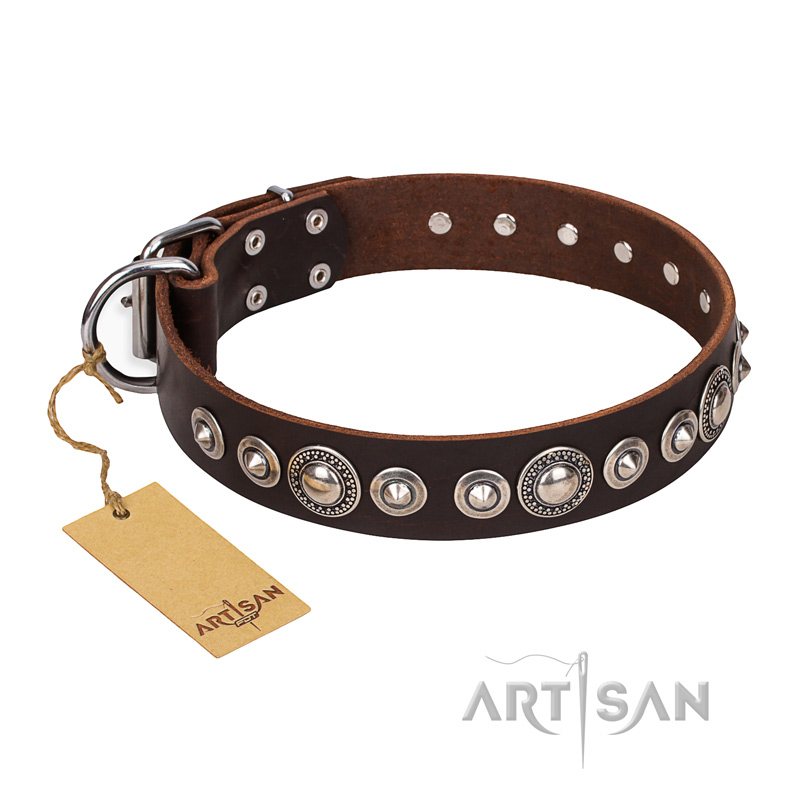 "Step and Sparkle" FDT Artisan Glamorous Studded Brown Leather English Bull Terrier Collar