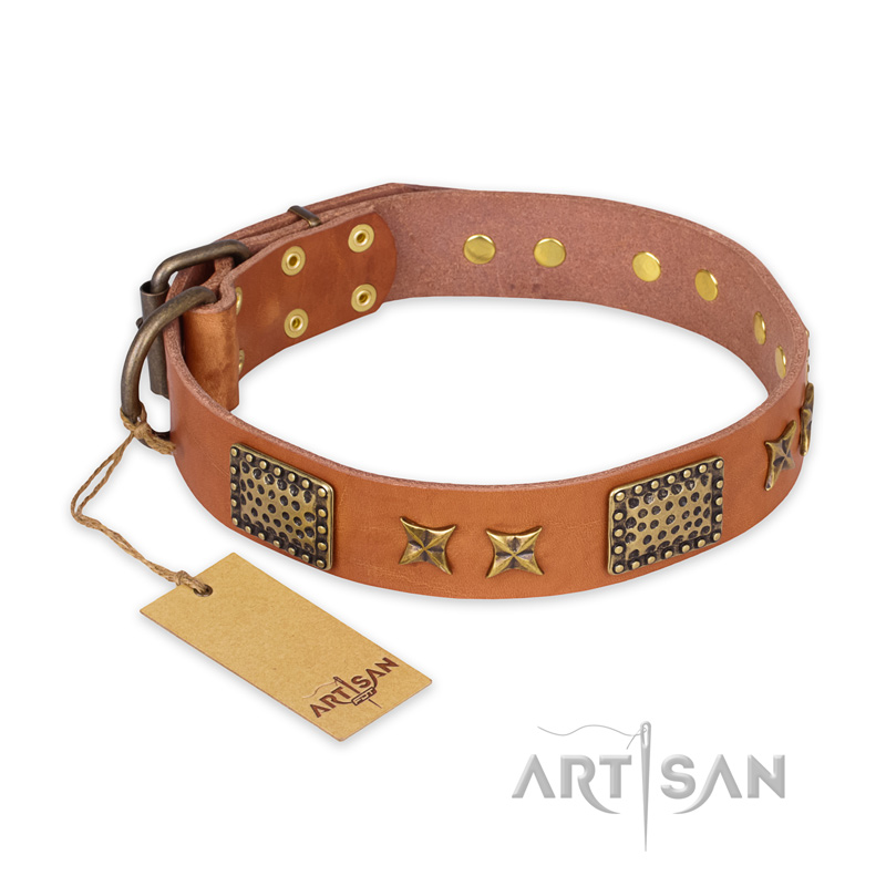 "Cosmic Traveller" FDT Artisan Adorned Leather English Bull Terrier Collar with Old Bronze-Plated Stars and Plates