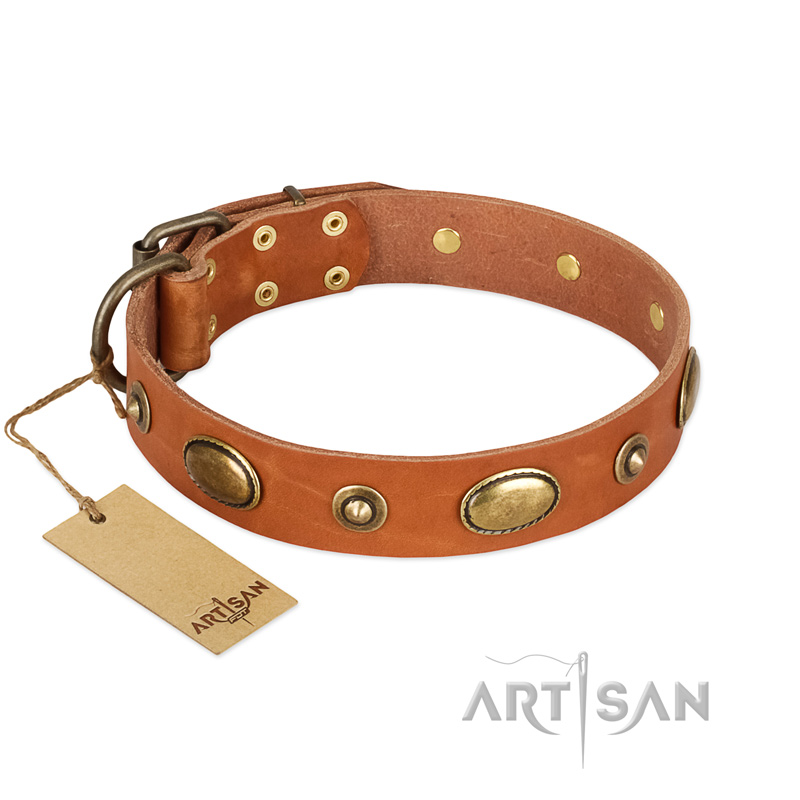 "Visual Magic" FDT Artisan Tan Leather English Bull Terrier Collar for Daily Activities