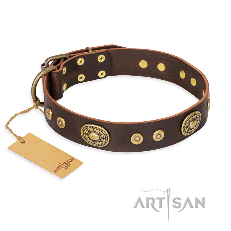 "One-of-a-Kind" FDT Artisan Handmade Decorated Brown Leather English Bull Terrier Collar