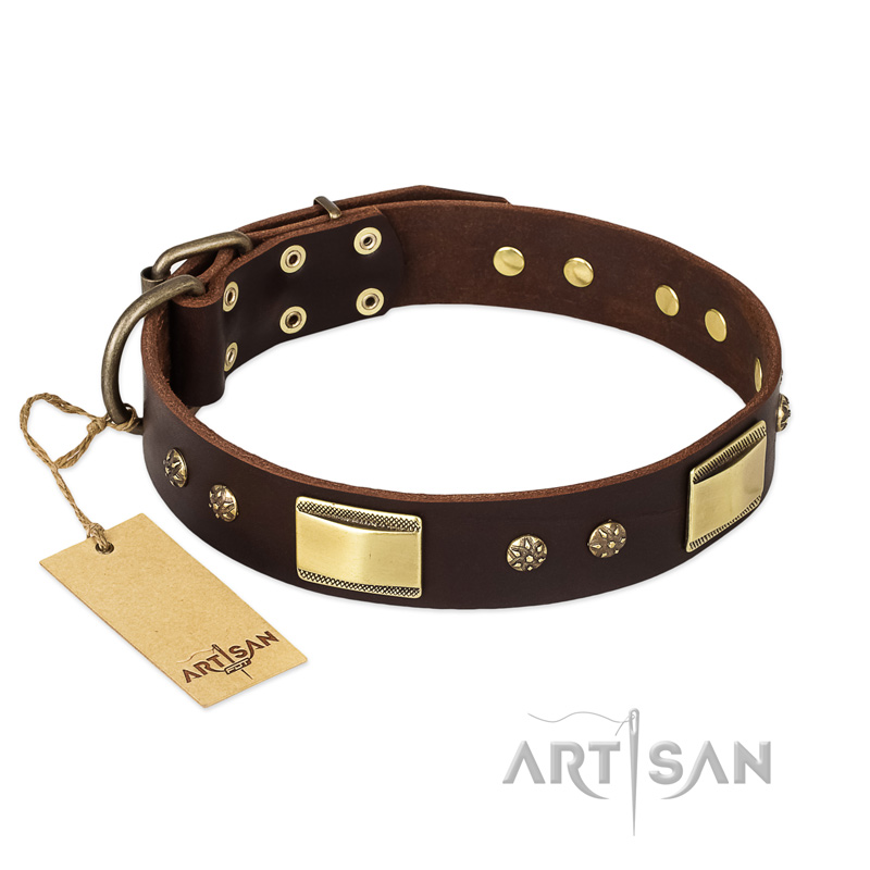 "Rich Fashion" FDT Artisan Decorated Leather English Bull Terrier Collar with Plates and Studs