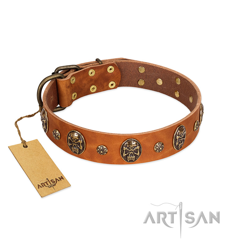 "Rockstar" FDT Artisan Tan Leather English Bull Terrier Collar with Engraved Studs and Medallions - Click Image to Close