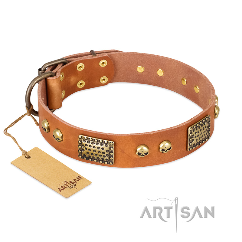 "Saucy Nature" FDT Artisan Tan Leather English Bull Terrier Collar with Old Bronze Look Plates and Skulls
