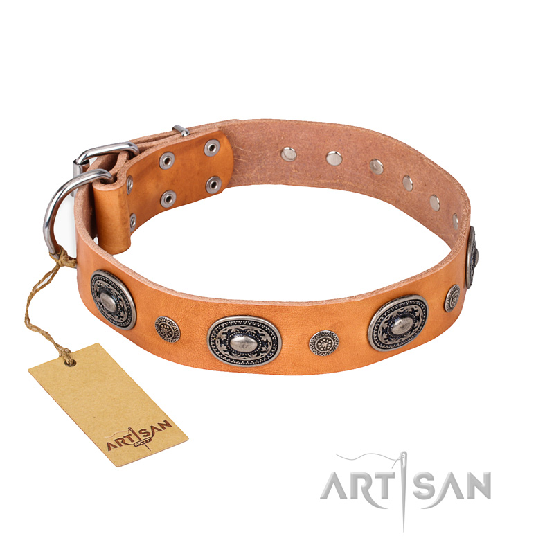 "Twinkle Twinkle" FDT Artisan Incredible Studded Tan Leather English Bull Terrier Collar